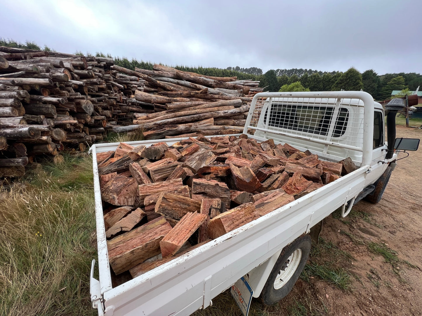 Yellow Box Mix Firewood Ute Load