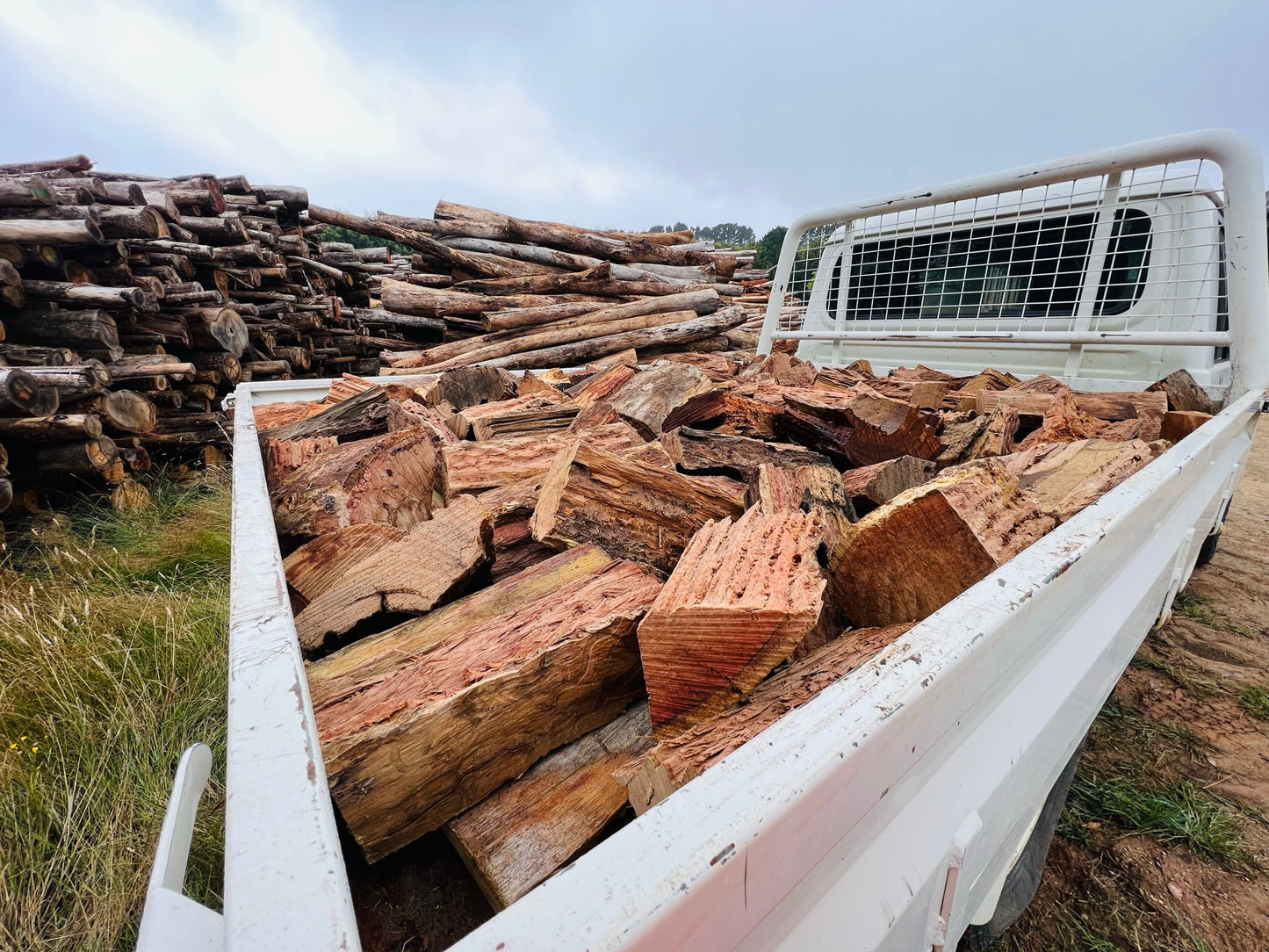 Yellow Box Mix Firewood Ute Load