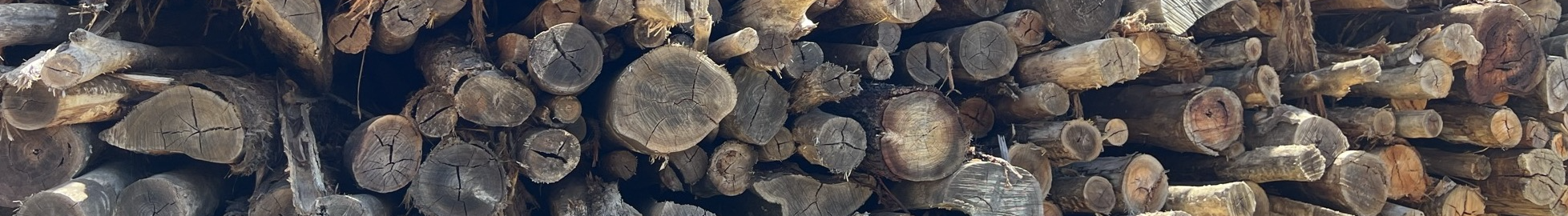 Photo of Mountain Lumber firewood supply