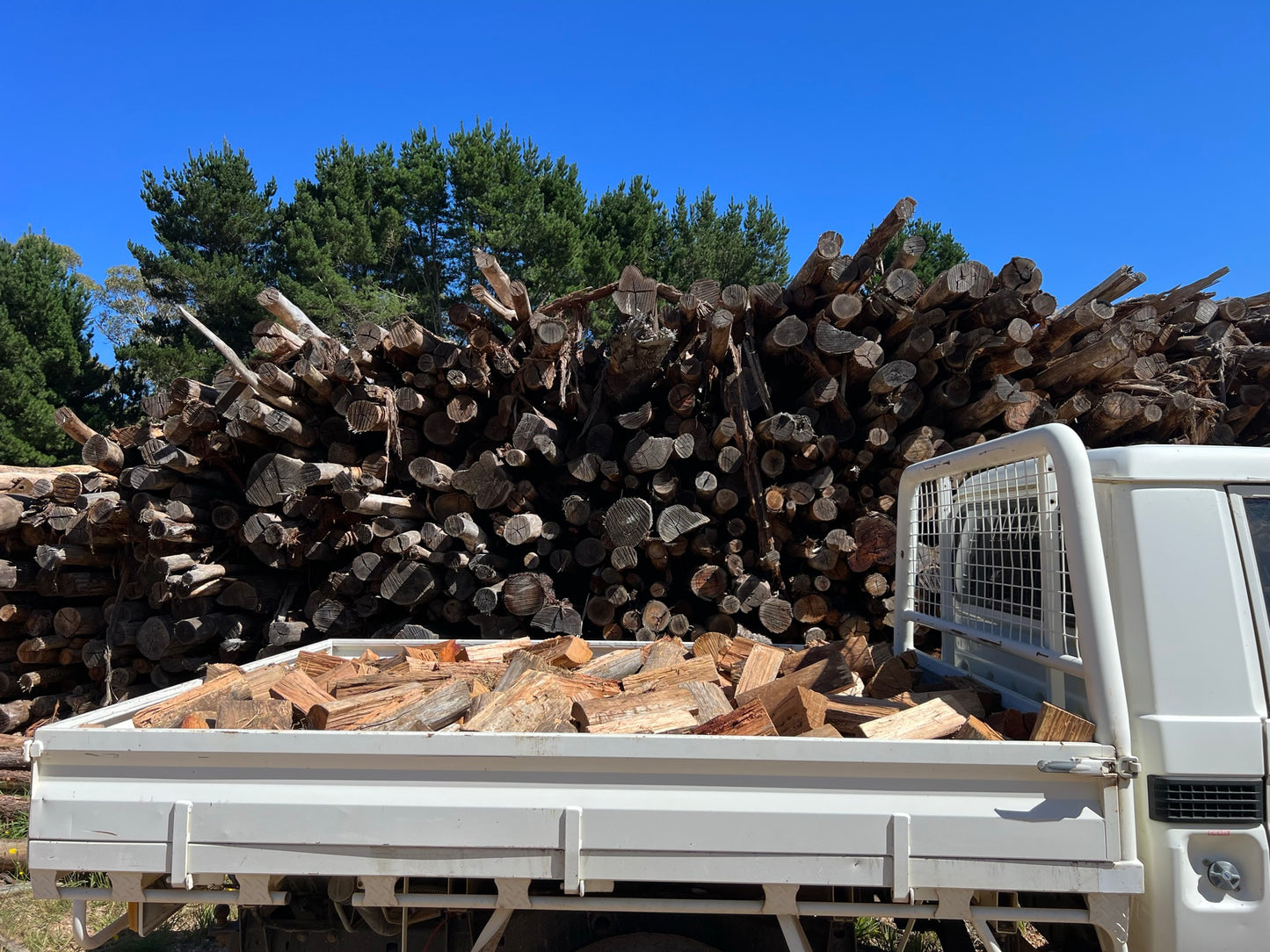 Mixed Hardwood Firewood Ute Load